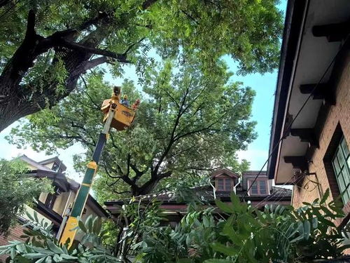 樟树天气（樟树市天气）