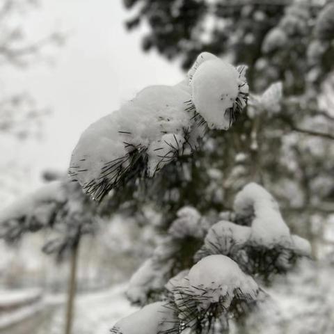 未来45天天气预报情况（未来45天天气预报情况许昌）