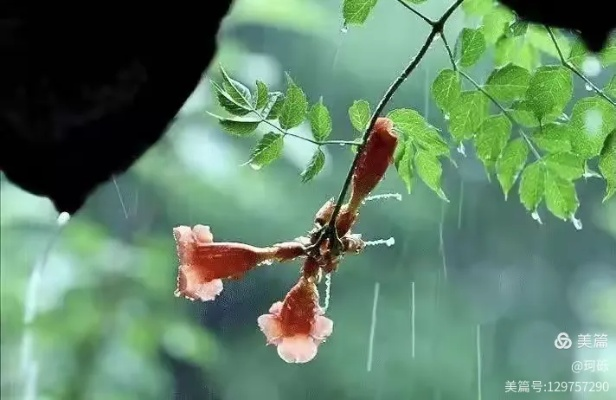 那一刻，雨如约而至