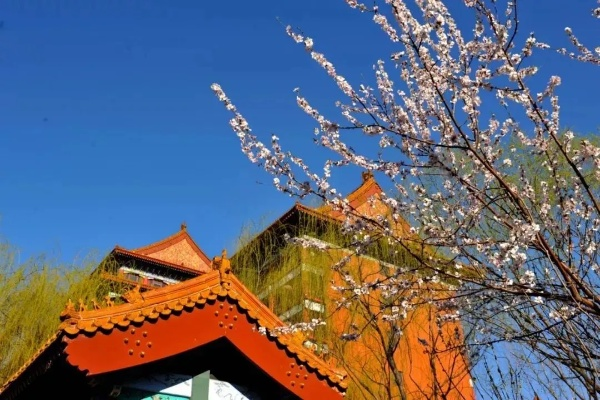 香河天气,小城四季的温柔呼吸 香河天气,小城四季的温柔呼吸