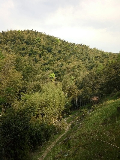 余姚天气,四明山下的气候物语 余姚天气,四明山下的气候物语