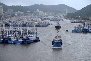 新台风明日登陆浙江，风雨将至，全城备战