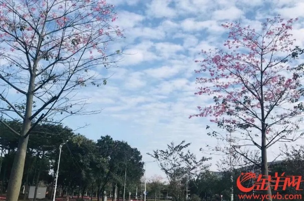 广东广州明天天气，暖阳微风，适宜出行