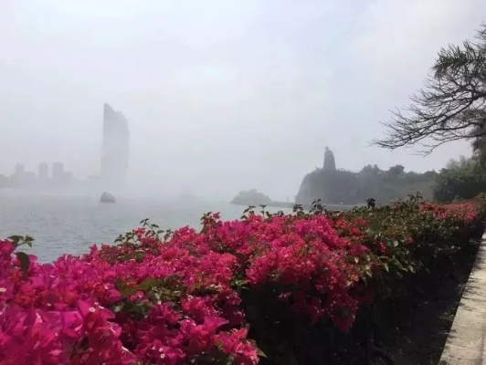 厦门的天气,一半温柔,一半任性 厦门的天气,一半温柔,一半任性