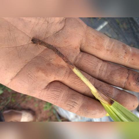今年雨水情况怎样，从南涝北旱到极端频发，气候变局下的生存思考