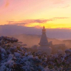 庐山风景区天气预报,云海之巅的天气密码,你的旅行指南 庐山风景区天气预报,云海之巅的天气密码,你的旅行指南